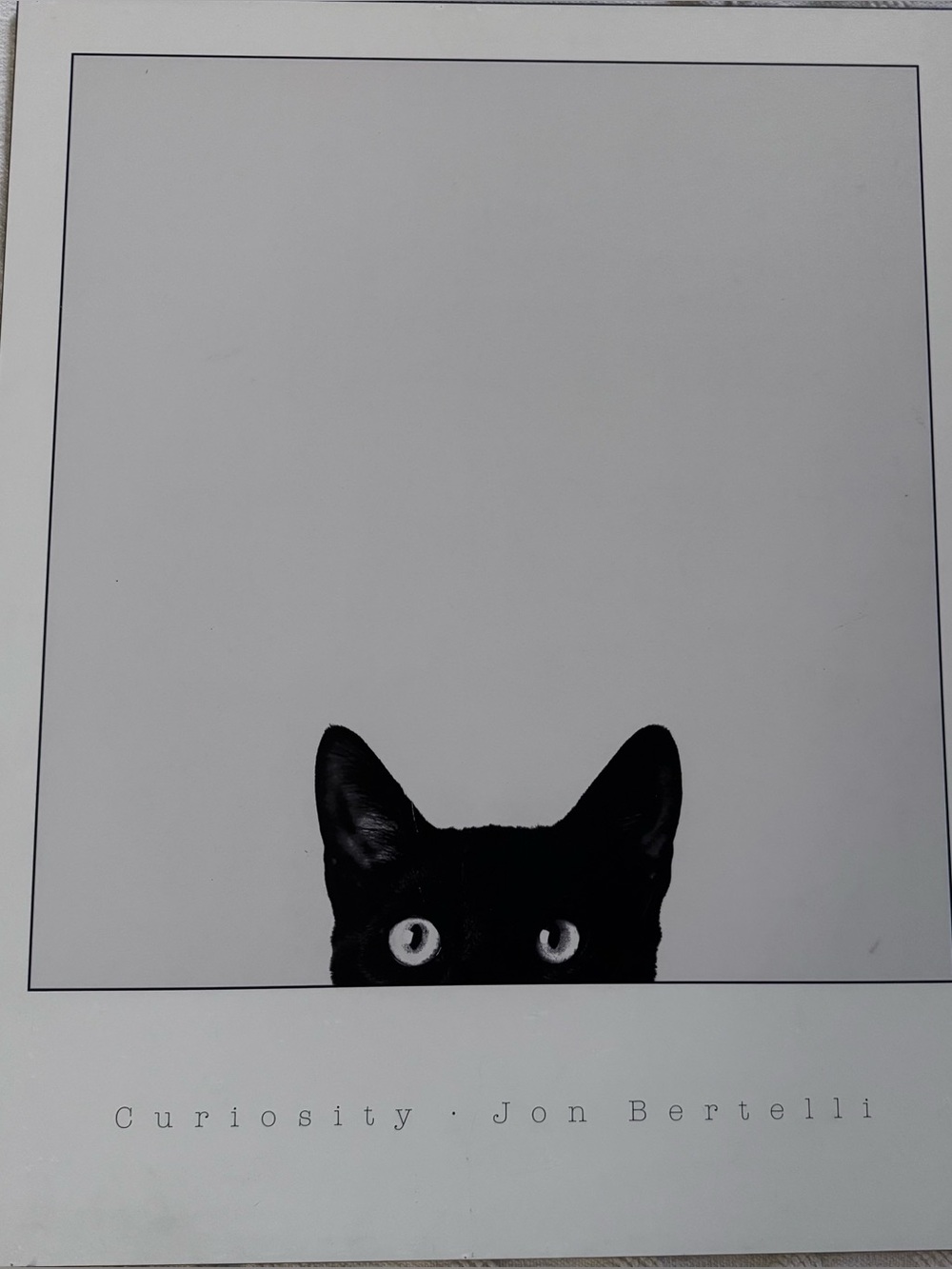 Curiosity by Jon Bertelli Art Print Cat Poster Black Kitten Eyes Peeking 30x24
